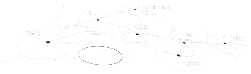Carte stylisée noir et blanc des villes et routes du Sud-Ouest de la France: Biarritz, Dax, Orthez, Pau, Tarbes, Oloron, Mont de Marsan, Pays basque intérieur.